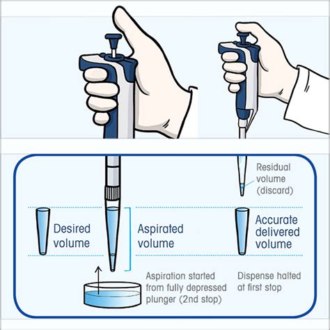 reverse pipetting technique|how to reverse pipette.